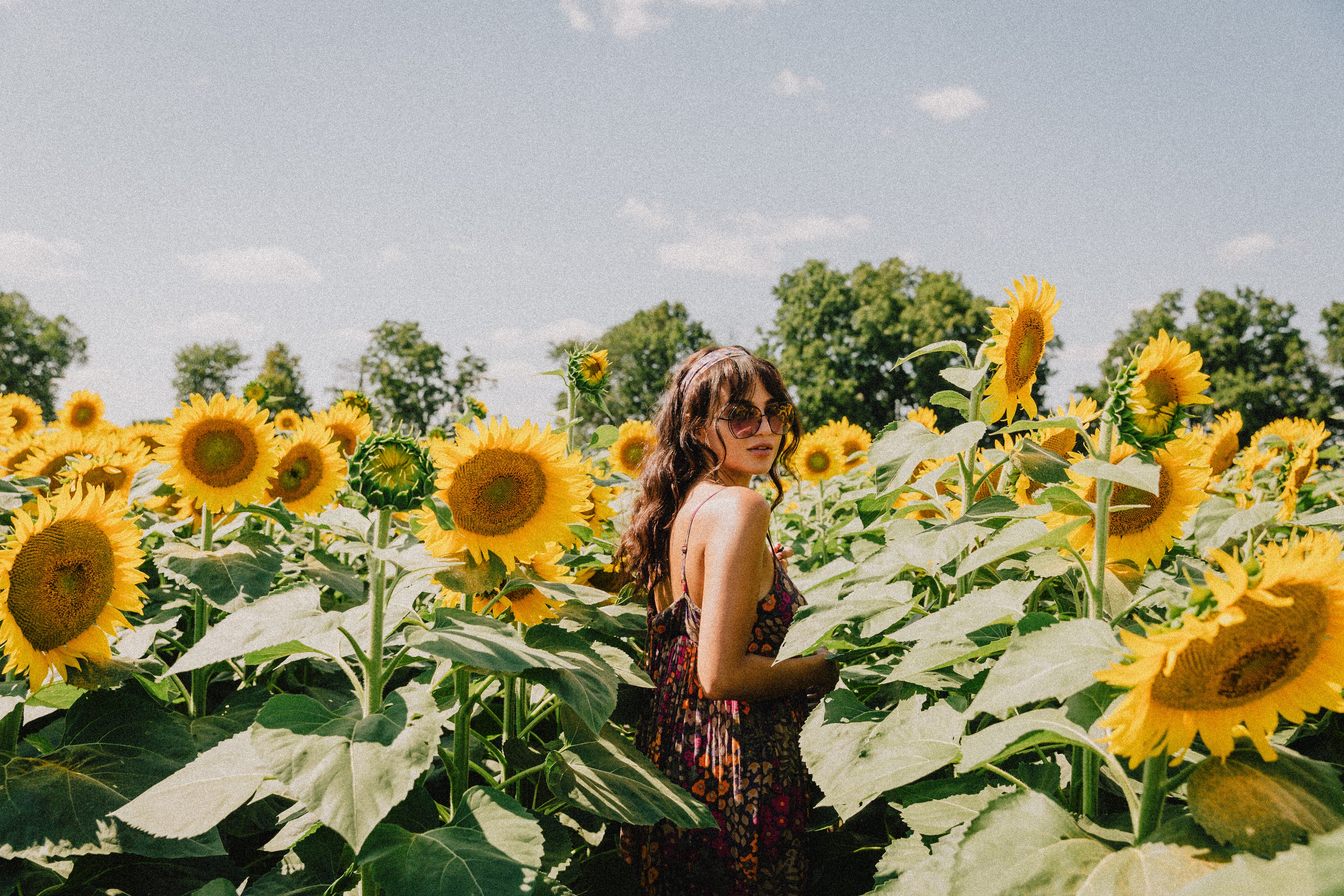 Namwezi in a field of sunflowers for collections of beauty products and summer ritual guides